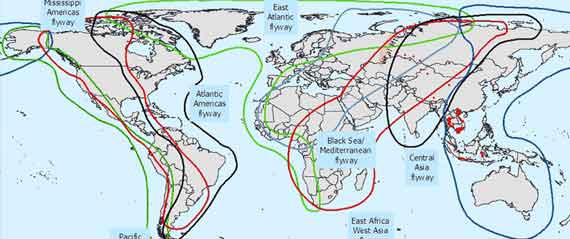 Tourism in Abkhazia and possibility of avian influenza outbreak